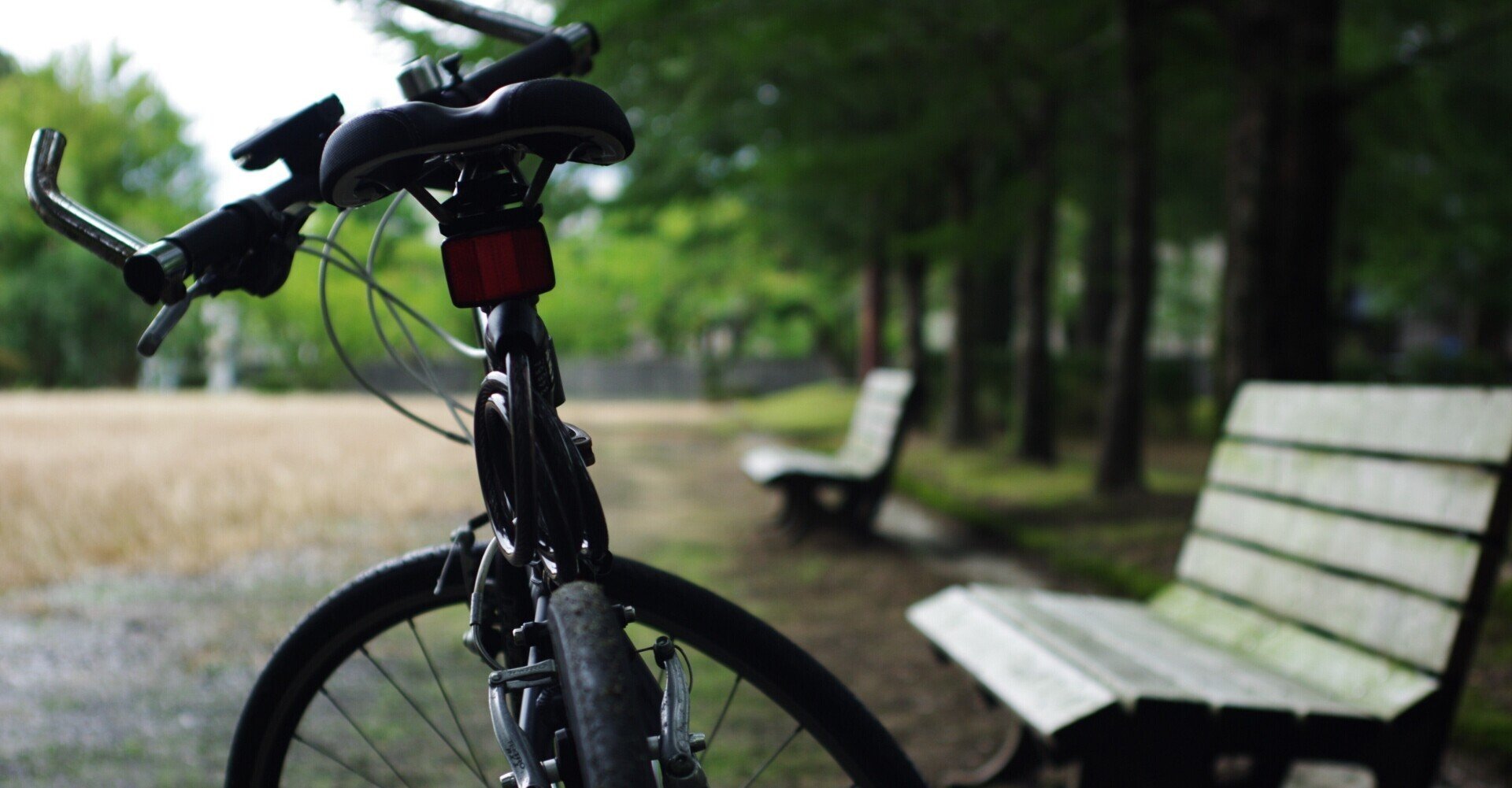 勉強する意味と向き合う きのこの山田 Note 勉強する意味と向き合う きのこの山田 Note