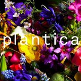 plantica（プランティカ）