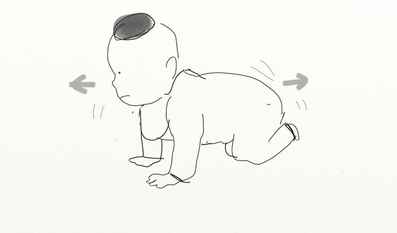 赤ちゃんの全身運動はどのように変わっていくのか 臼井 隆志 Art Educator Note