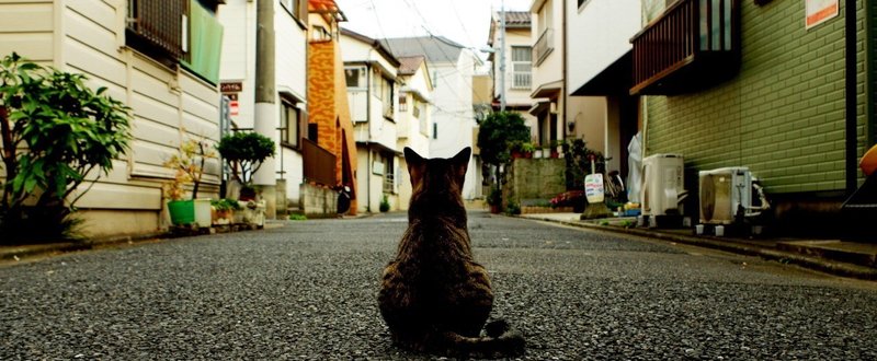 自分を変えるための２つの方法ーいまやせたいあなたへ