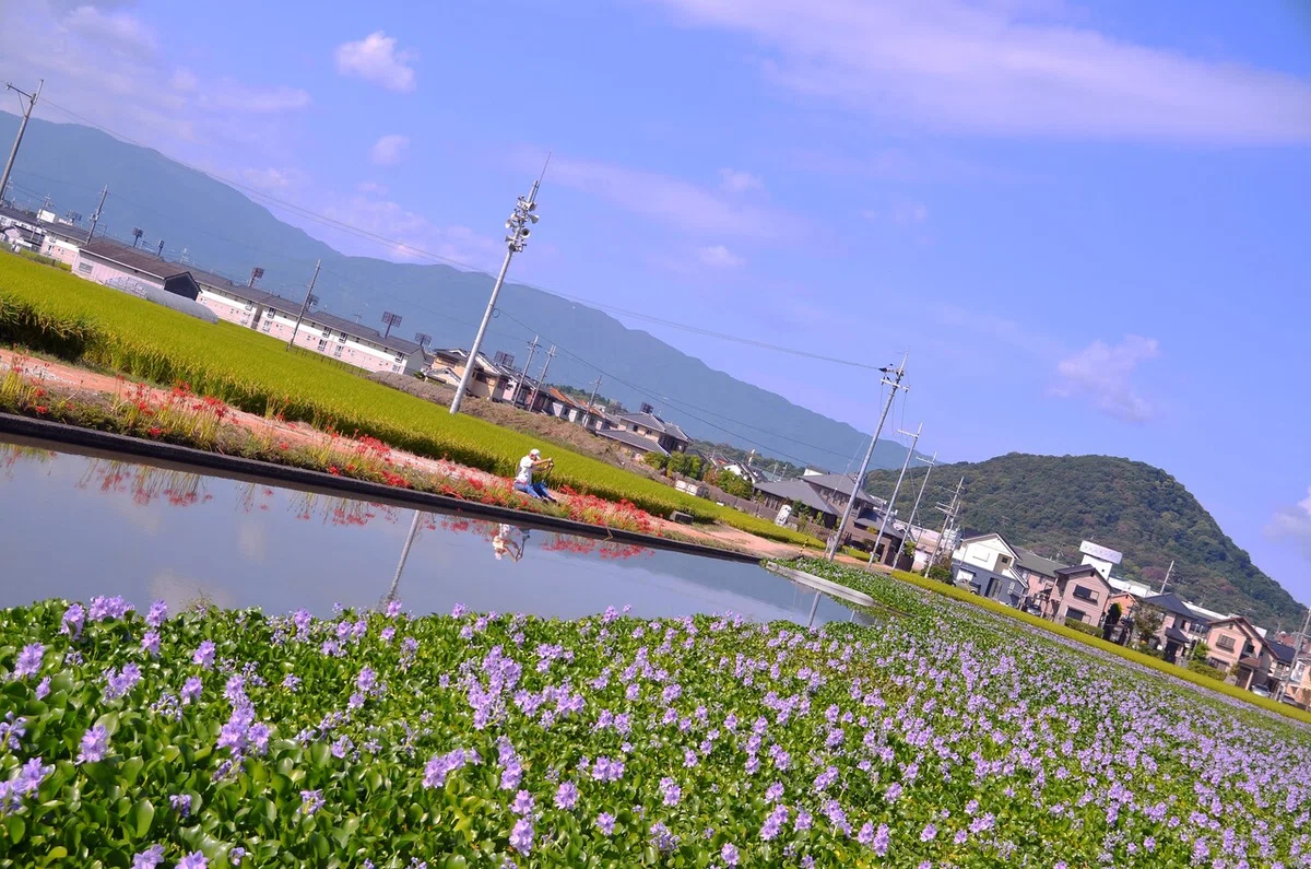 画像6