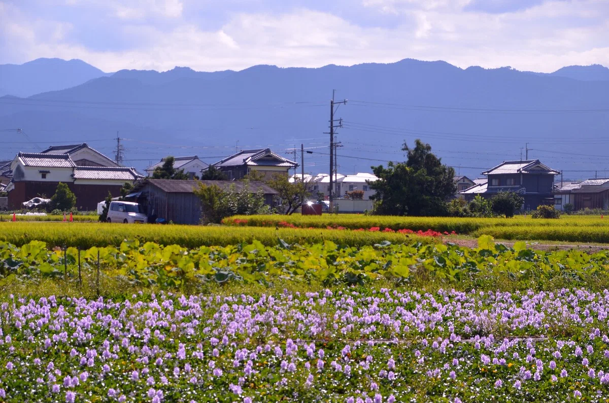 画像7