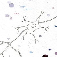 鉄鍋のジャン エンタメに振り切るということ 残留思念 Note