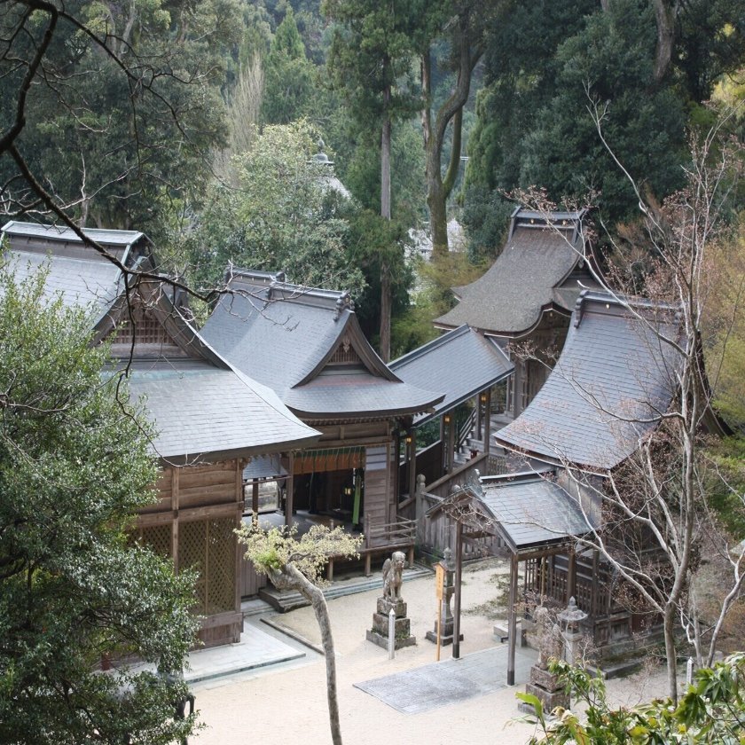 赤ちゃんが神様とお相撲 笑顔とかわいい泣き声が溢れる神事 赤ちゃん初土俵入 宮津市広報