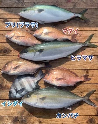 定点観測05｜Shiro.H