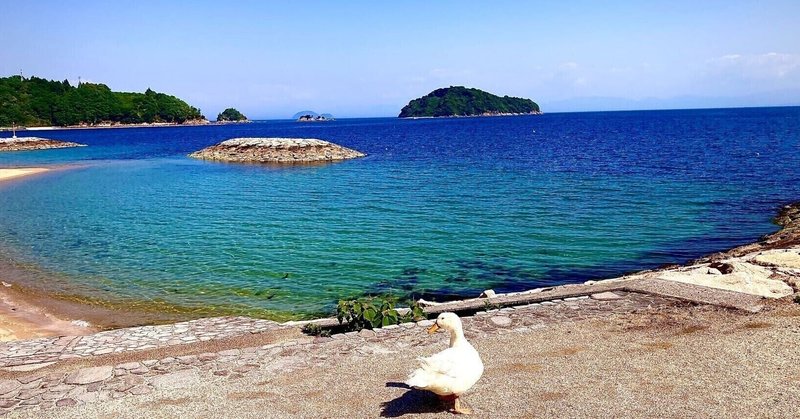 オンラインコミュニティ「ひとぴよ哲学塾」もうすぐ公開!先行予約受付ます!先着3名様にフラクタル心理カウンセリング(60分)プレゼントします。