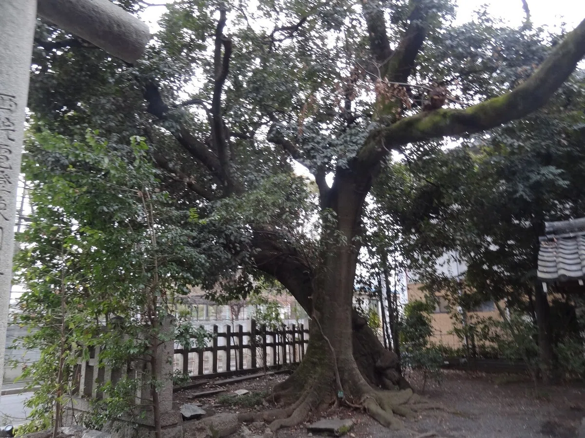 画像35