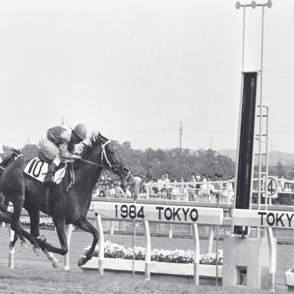 ミホシンザン 天皇賞春 現地的中単勝馬券 期限切れ 換金不可（追悼 