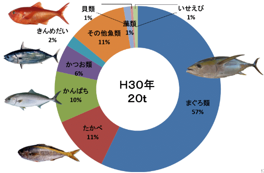 03御蔵島魚種別水揚げ