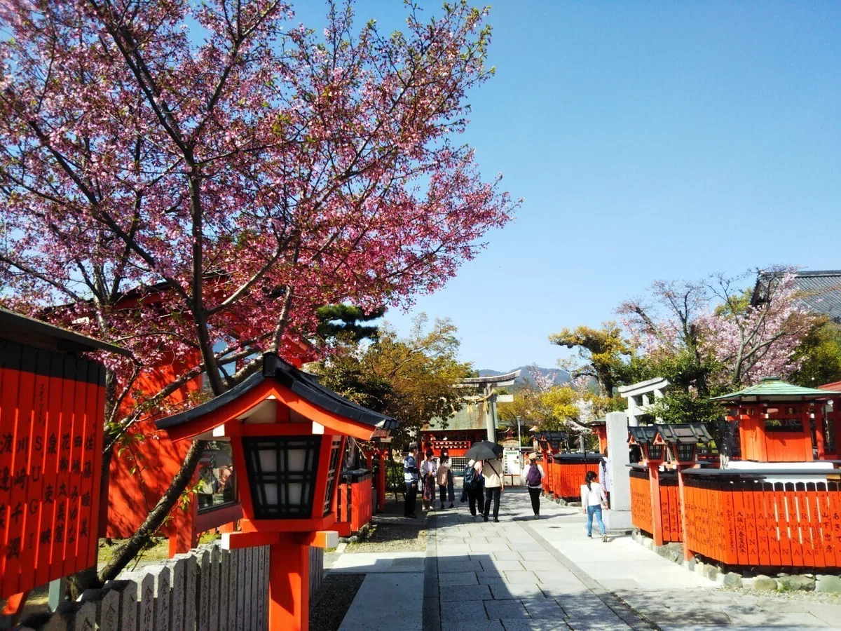 画像14