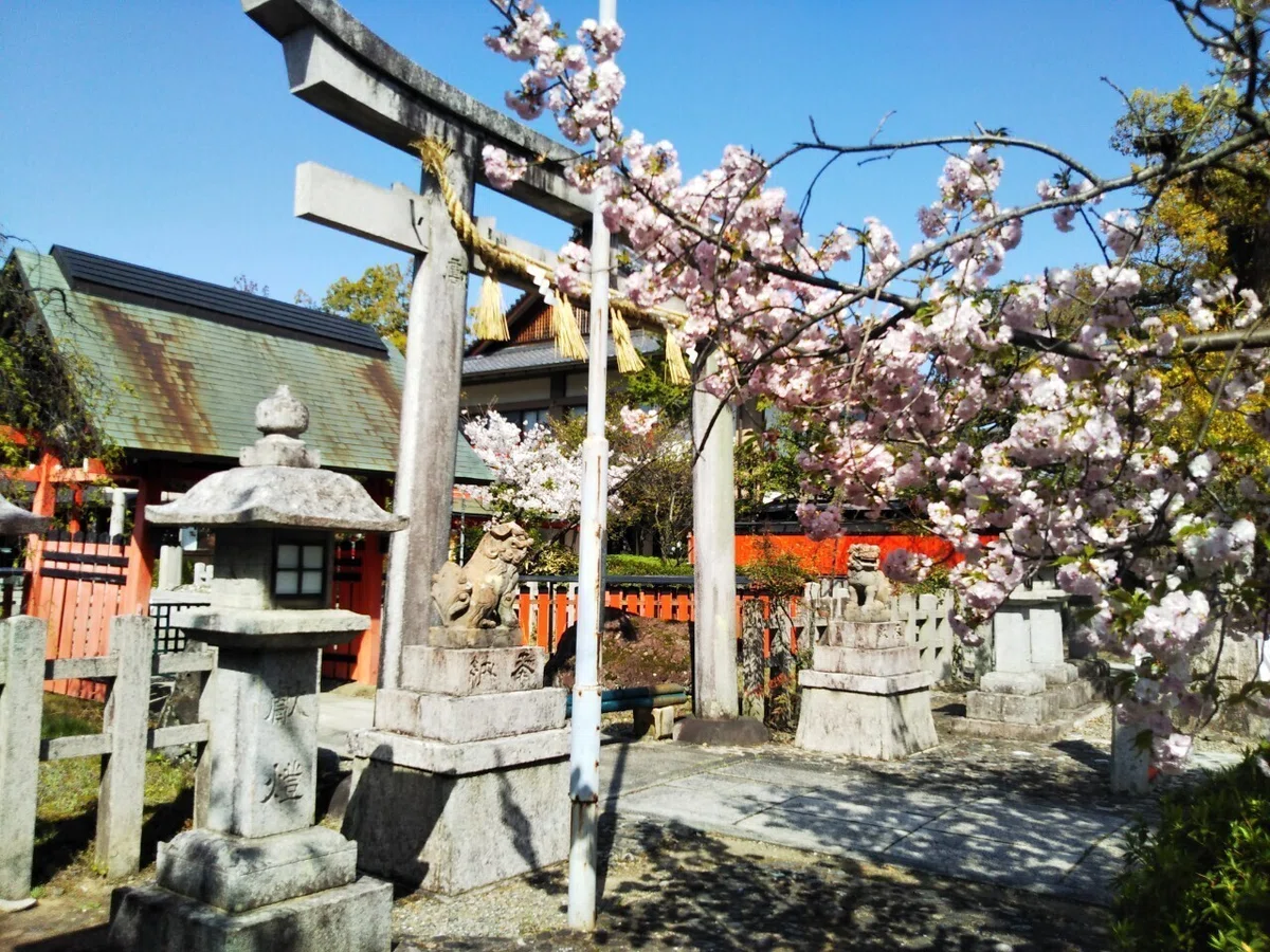 画像19