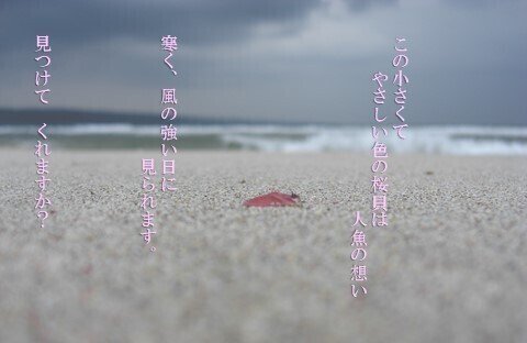 桜貝の詩 (2)