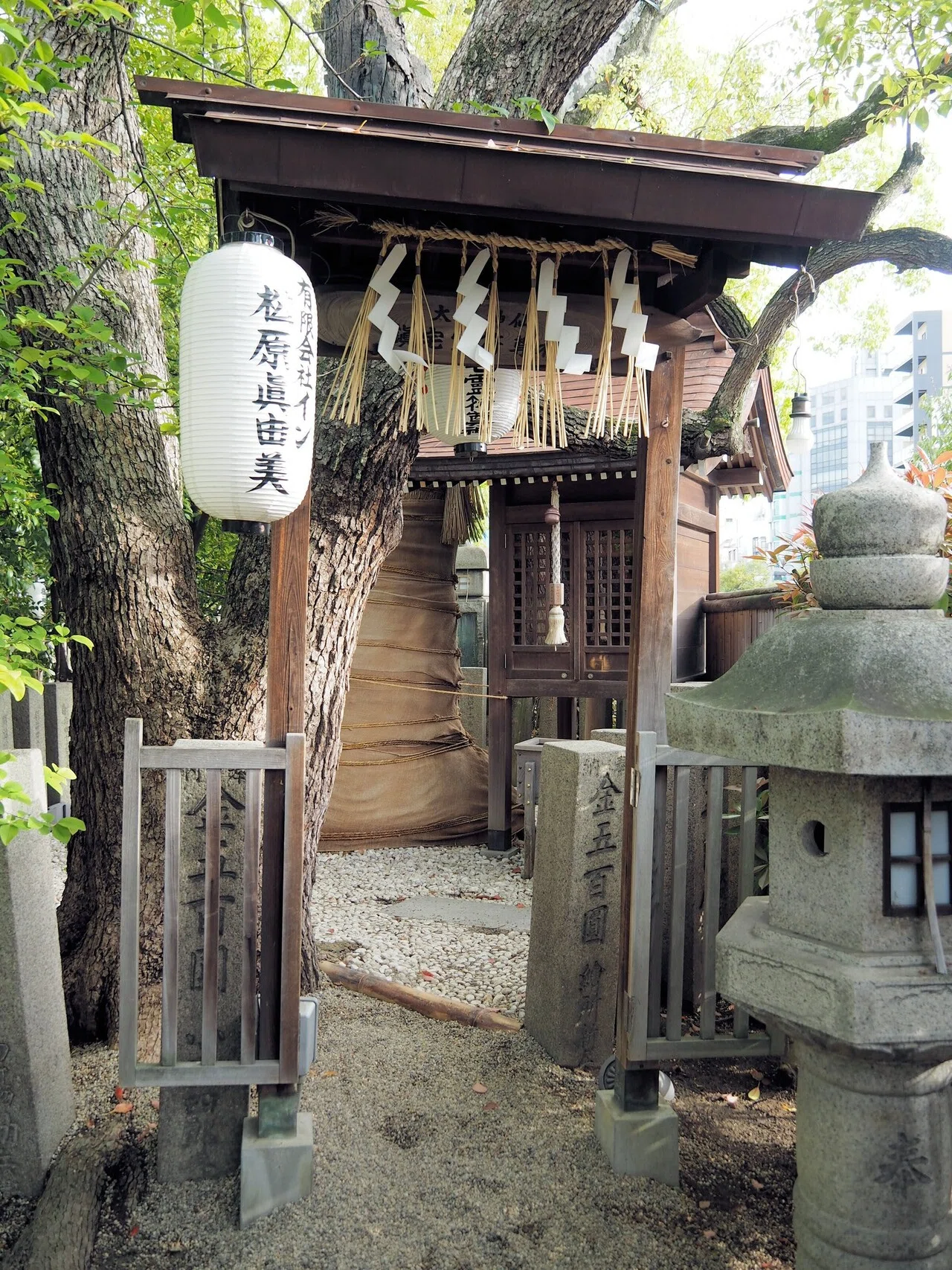 【blue＊bird】高波動にぎり石【太上神仙鎮宅霊符】 天之御中主神様 祝詞】天之御中主神さま 宇宙の始まり あなたの始まり｜あいの鎮守の森
