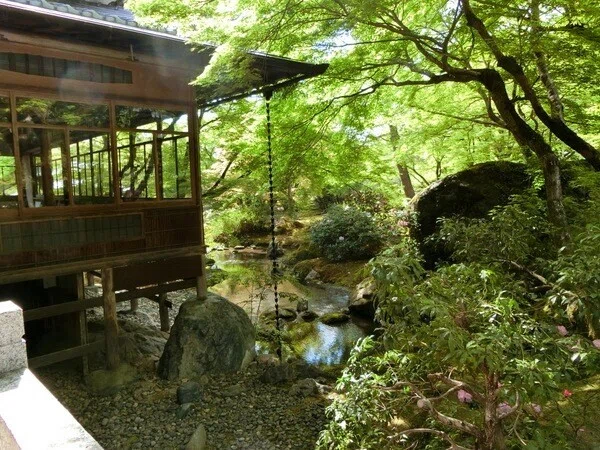 画像12