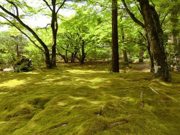 画像13