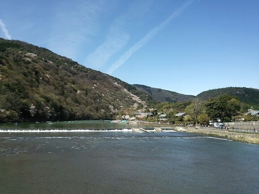 画像7