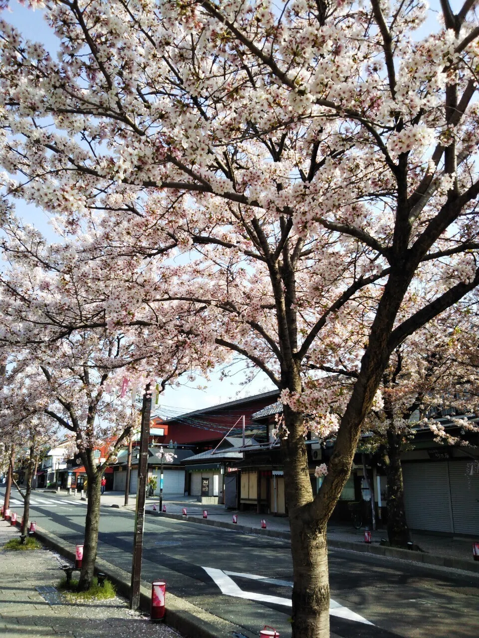 画像11