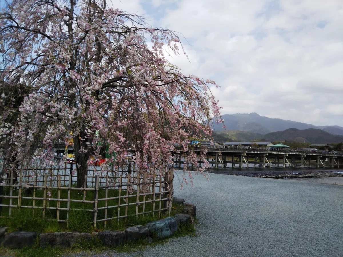 画像12