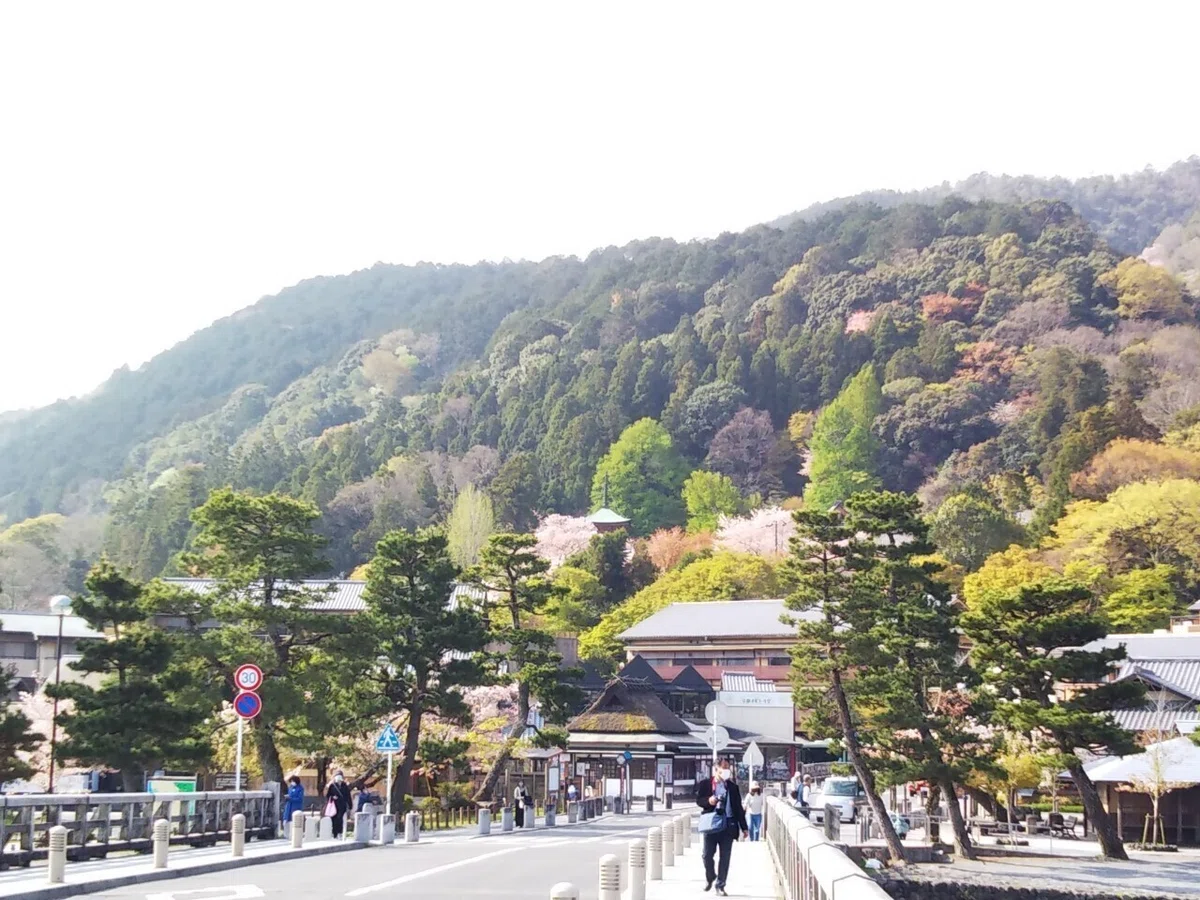 画像13