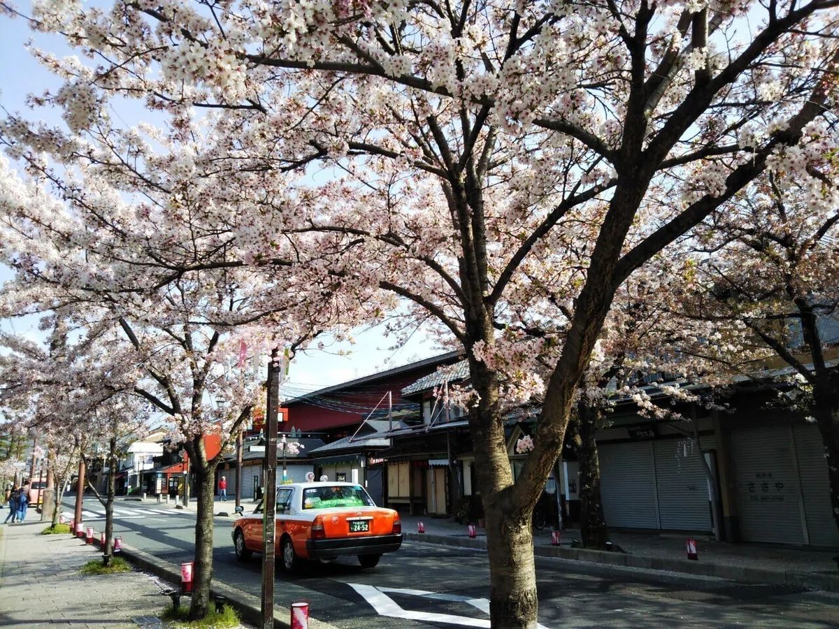 画像14