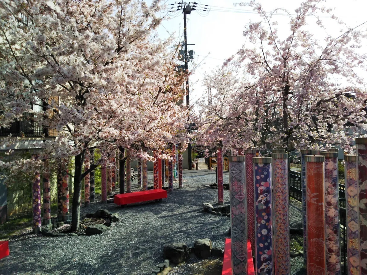 画像15