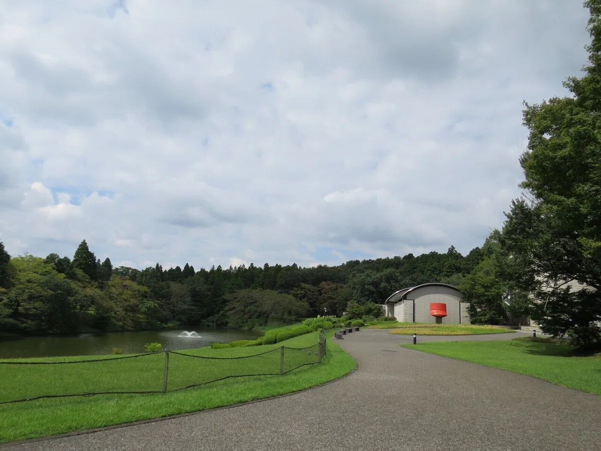 画像14