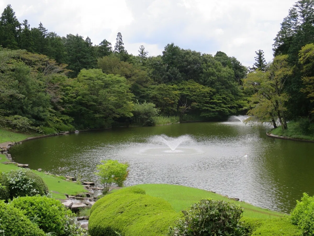 画像16