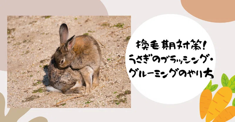うさぎの杜 の新着タグ記事一覧 Note つくる つながる とどける