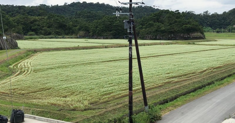 歩くあるく:みちのく潮風トレイル日記･ 第10日(2021年9月8日､鎮魂野蒜海岸｡宮戸あおみな——陸前小野駅接点154km)