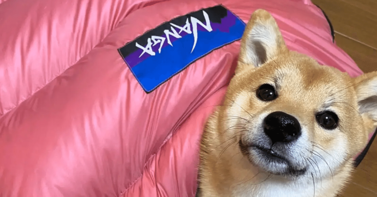 新商品】2020/3月発売 ナンガからペット用シュラフが登場！『DOG BAG