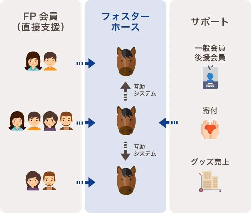 ウマ娘から入った競馬新参が引退馬支援を始めた理由｜ストーム叉焼