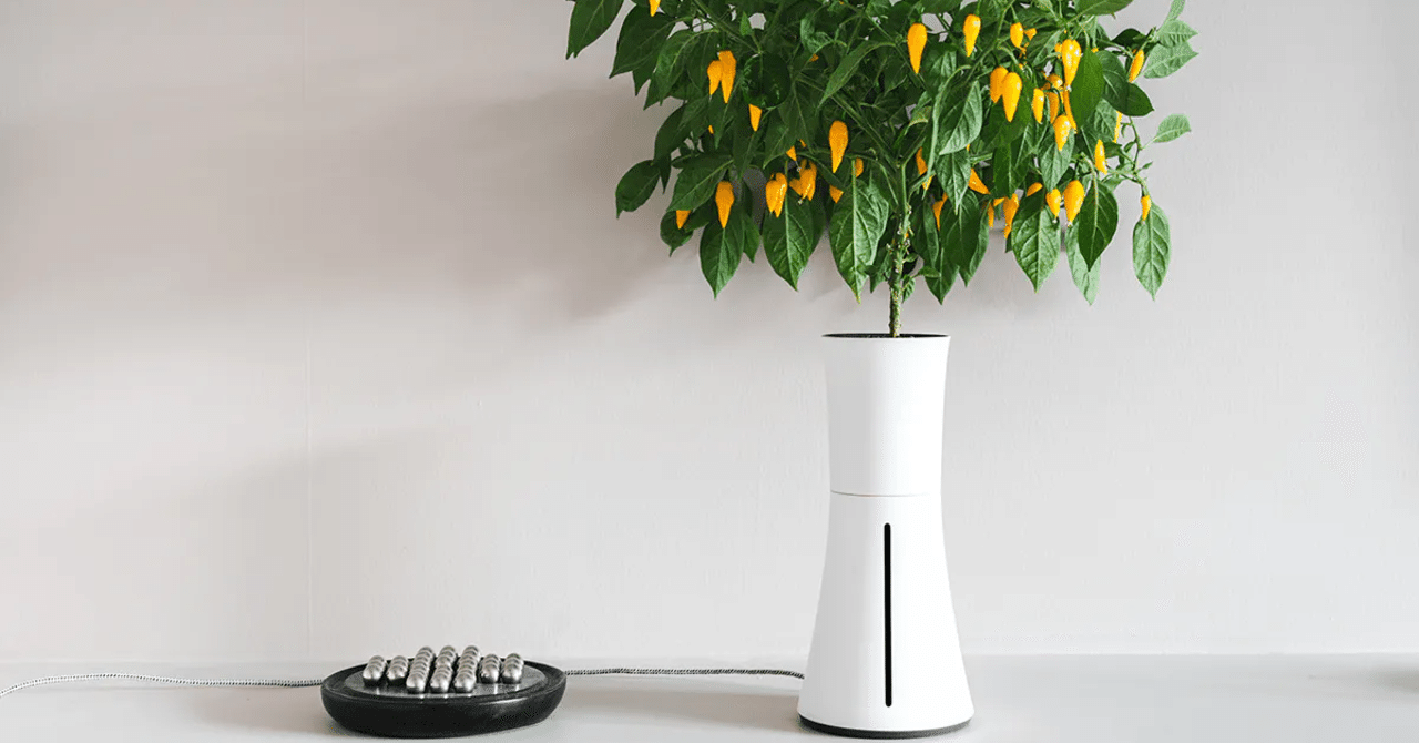 061 生産的すぎる画期的な水耕栽培セットが凄かった！放置しても