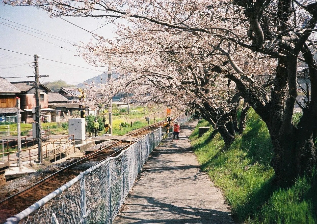 あんときのフィルムカメラ 20年ぶりのはじめてのハーフサイズカメラ