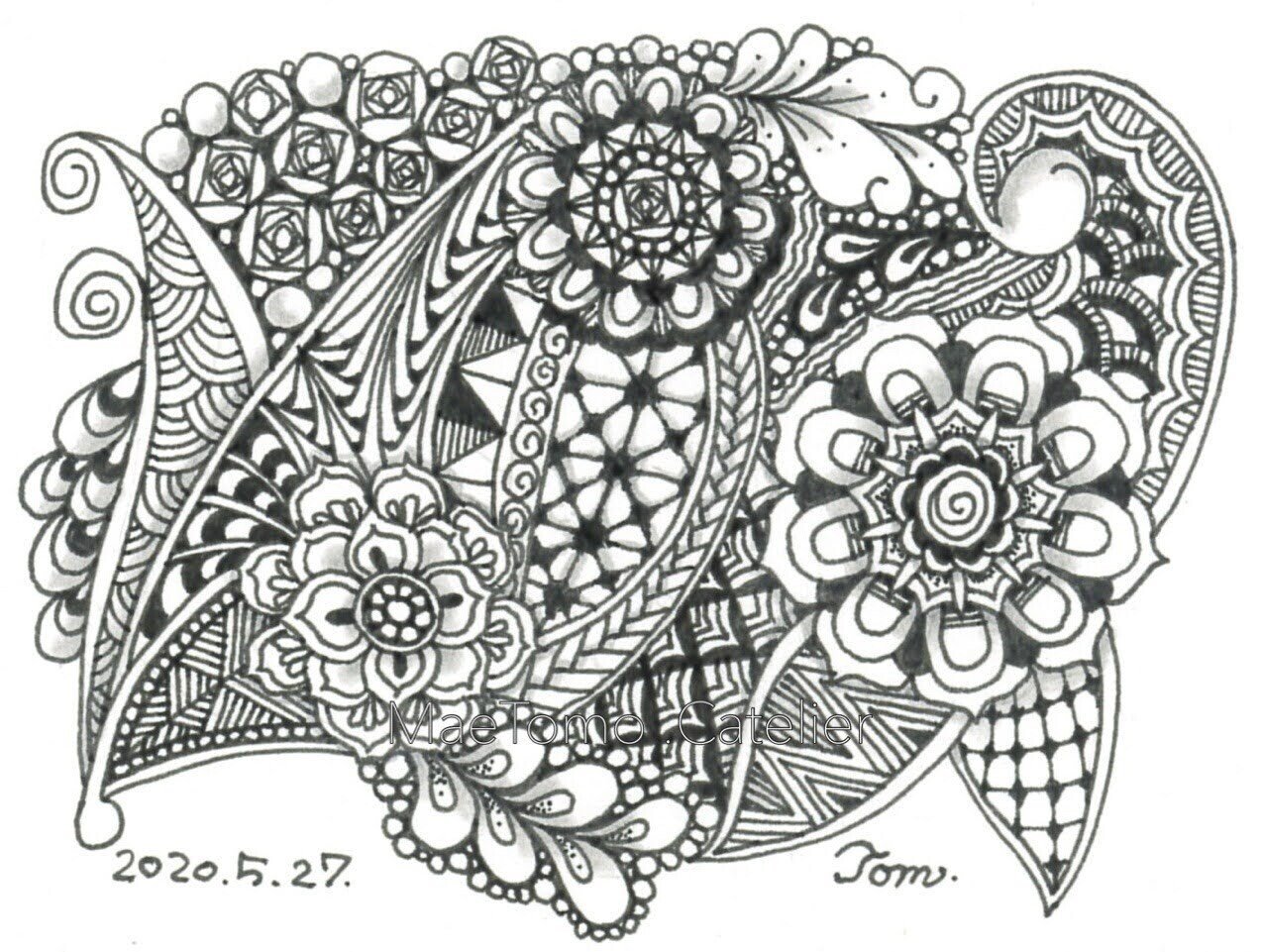 個の明暗/zentangle/ゼンタングル/アート/色紙/花