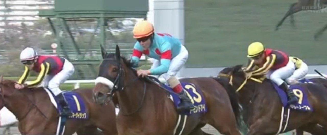 競走馬の能力を評価するシンプルな方法 中村さん Note