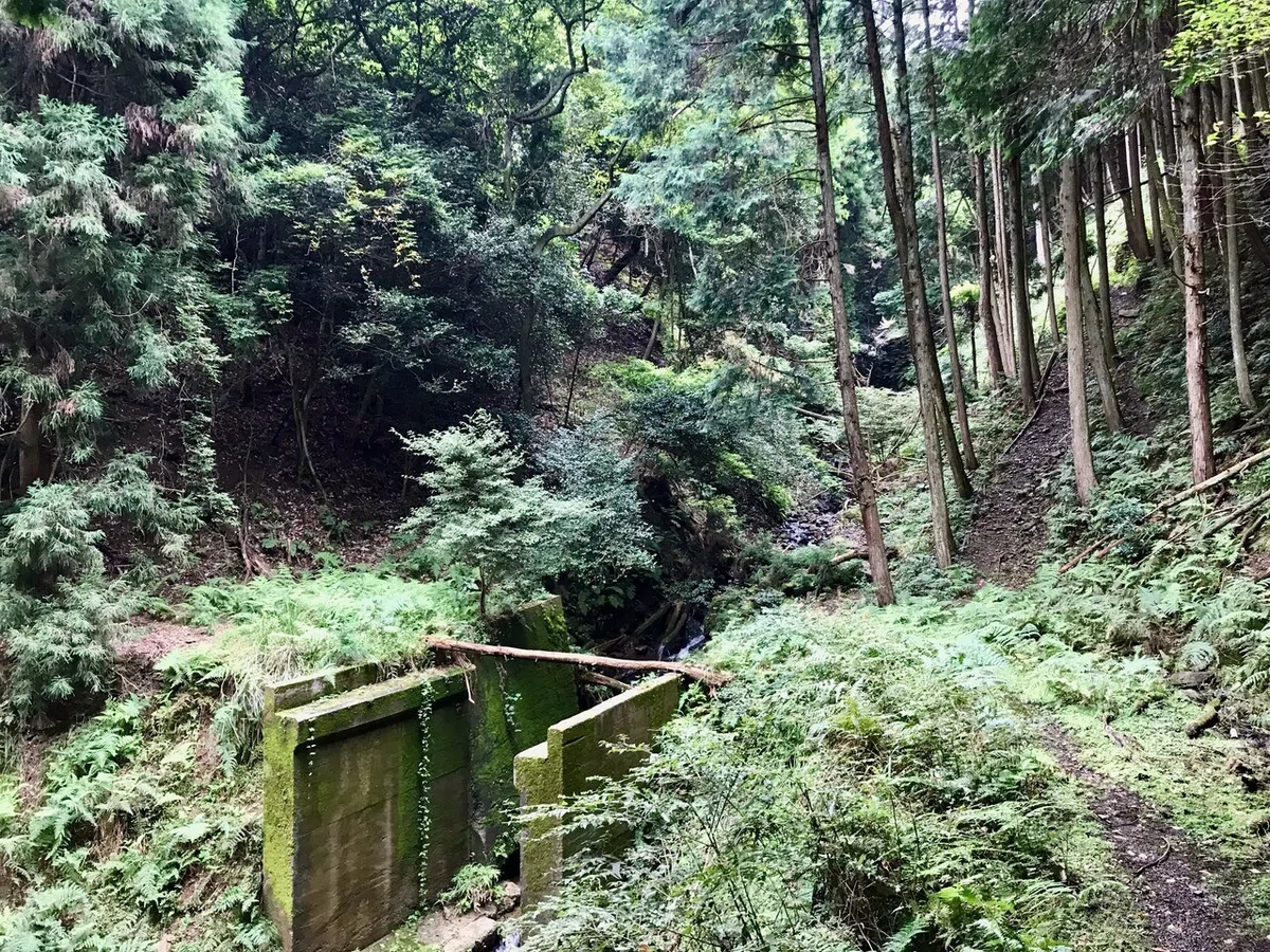画像4