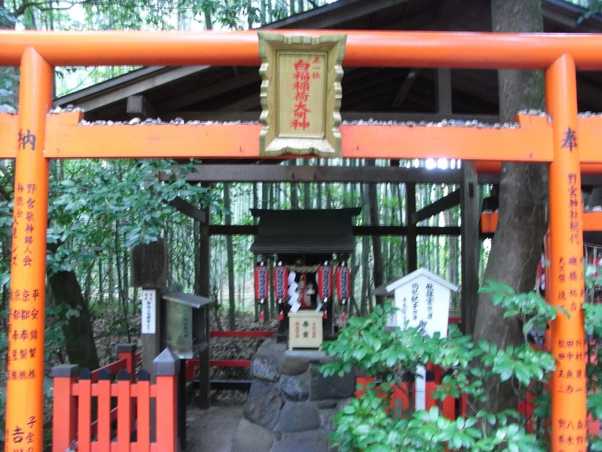 画像5