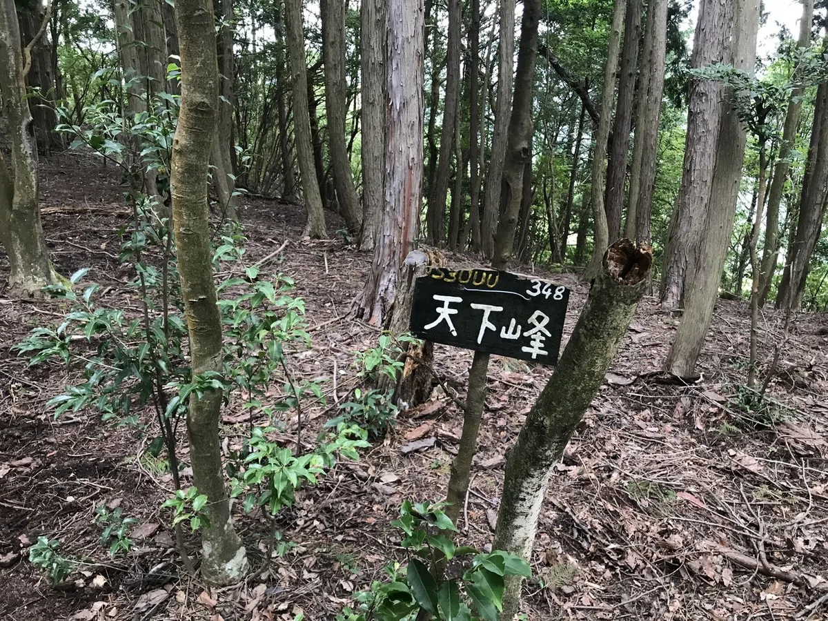画像6