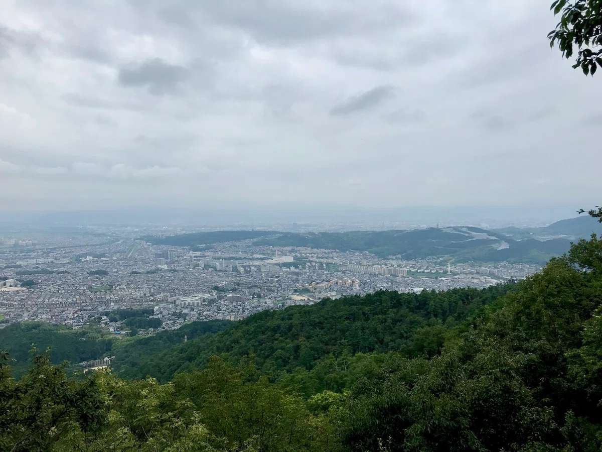 画像8