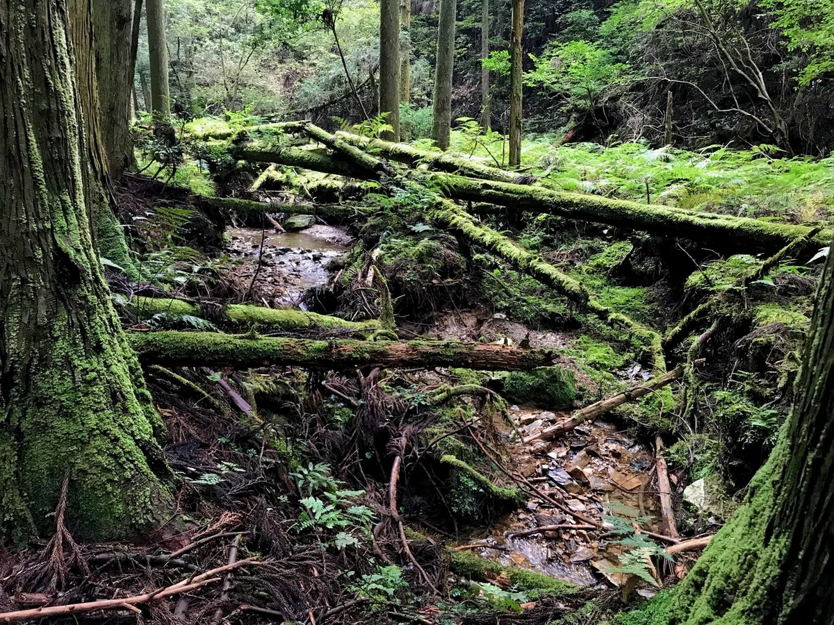 画像10