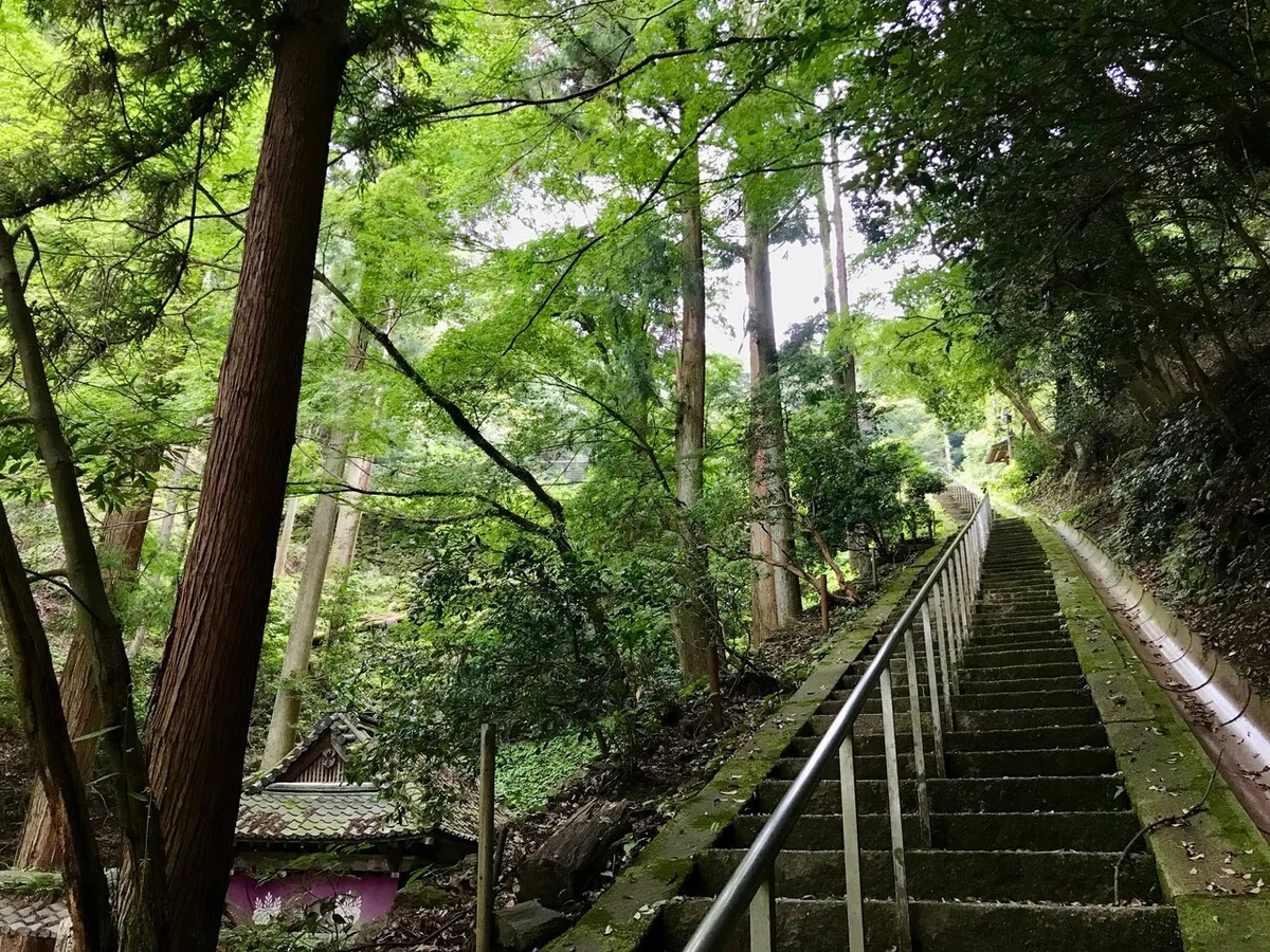 画像12