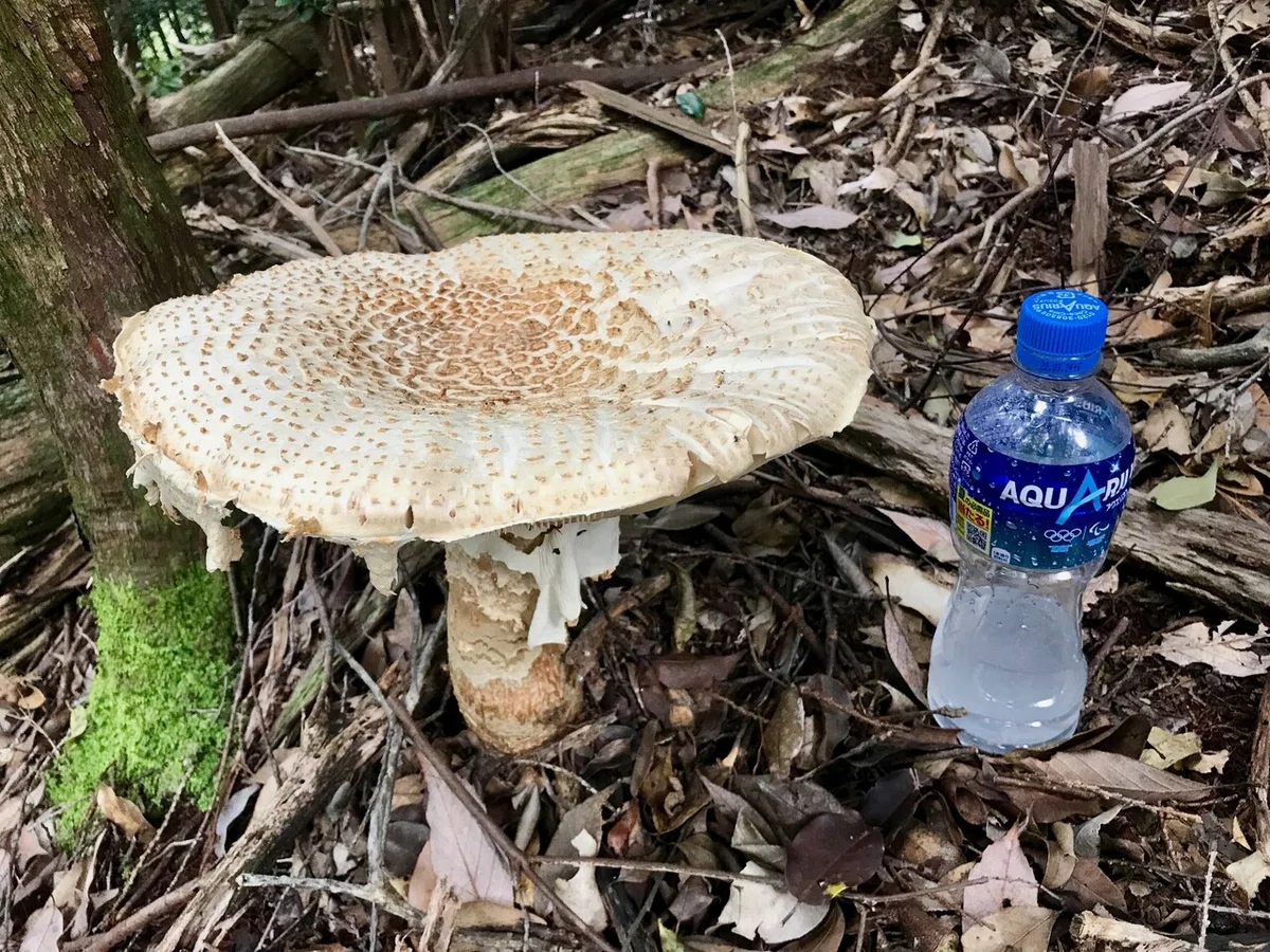 画像24