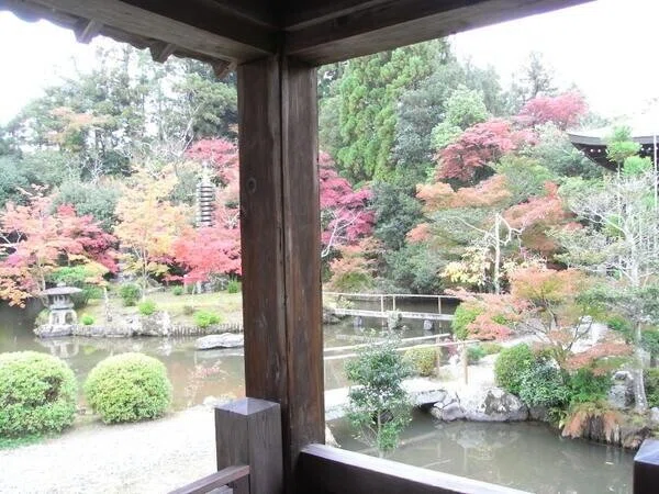 画像12