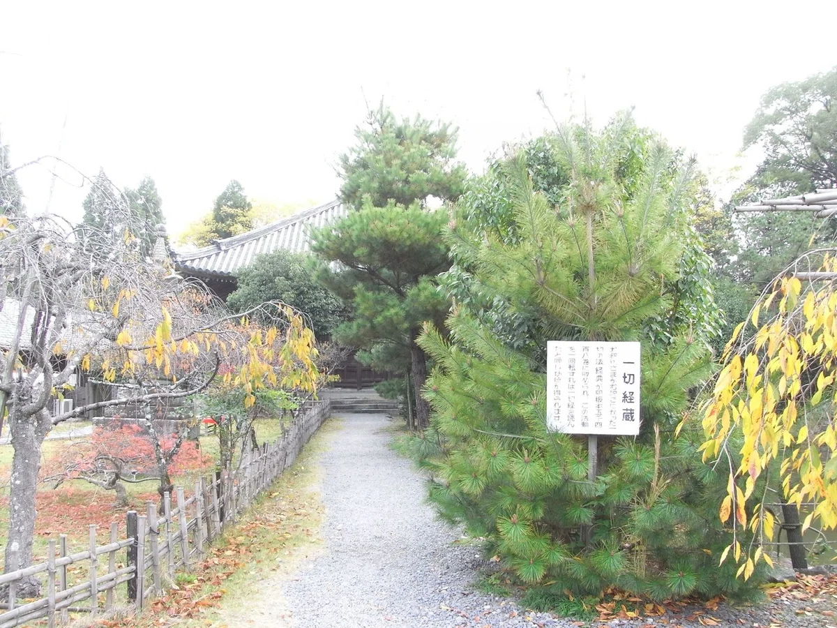 画像15