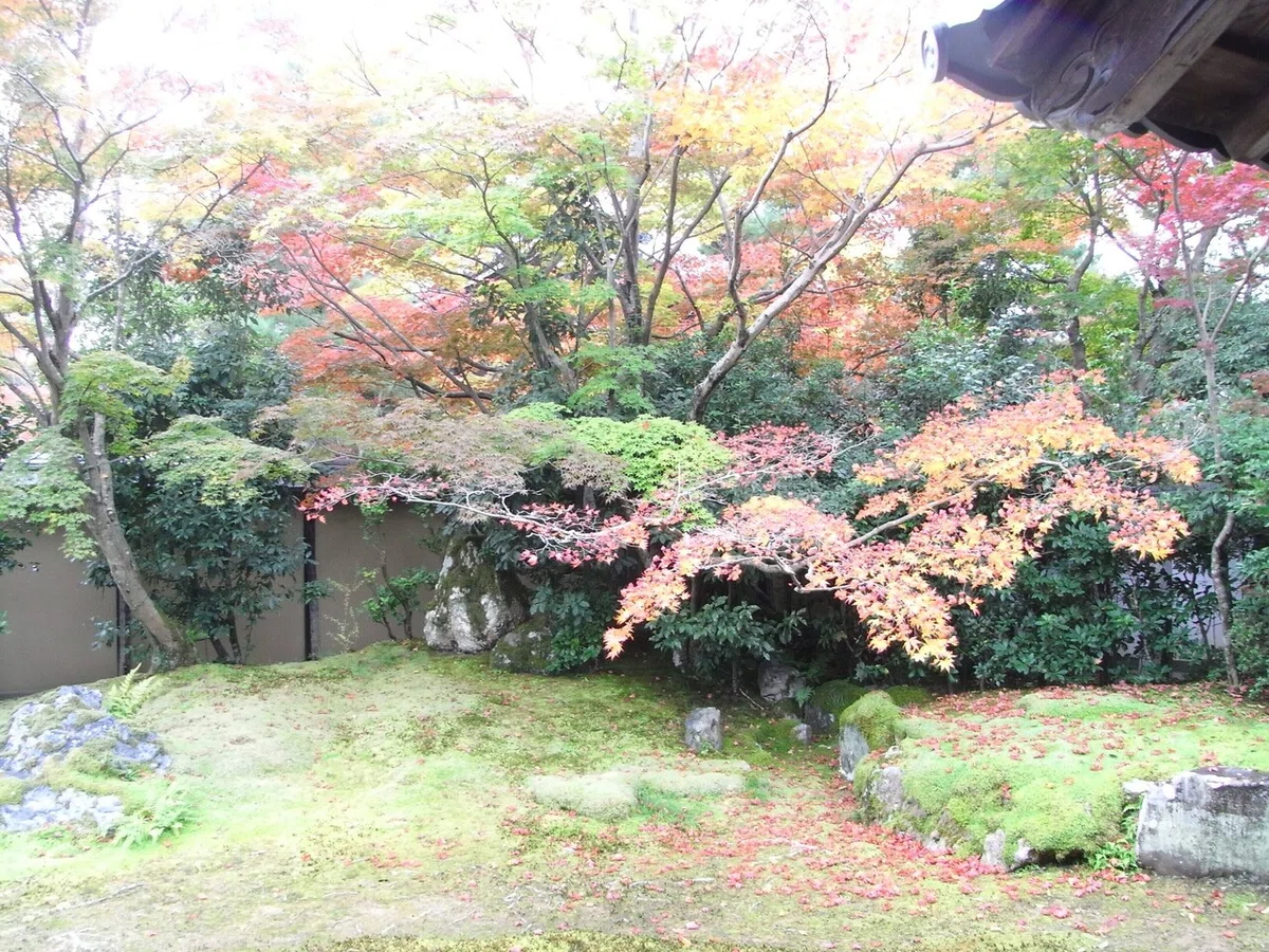 画像17
