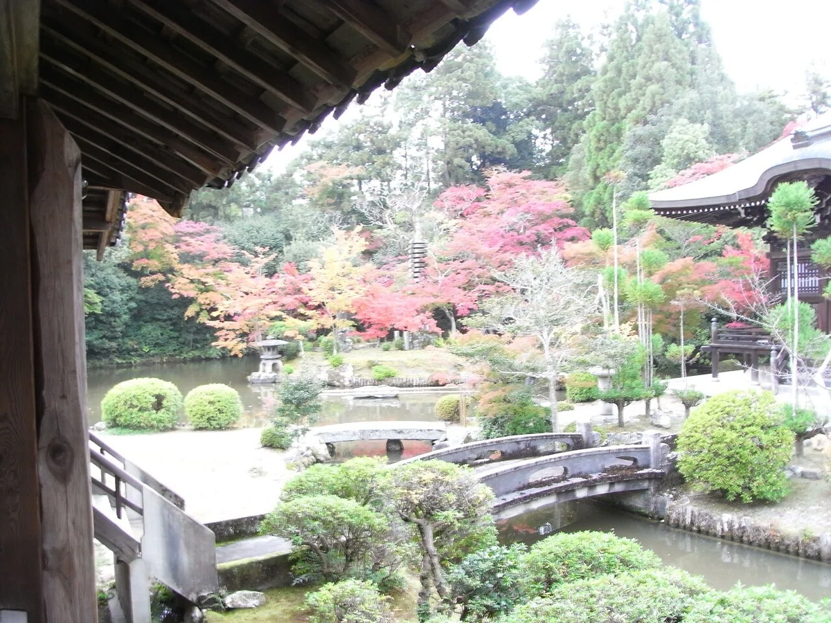 画像18