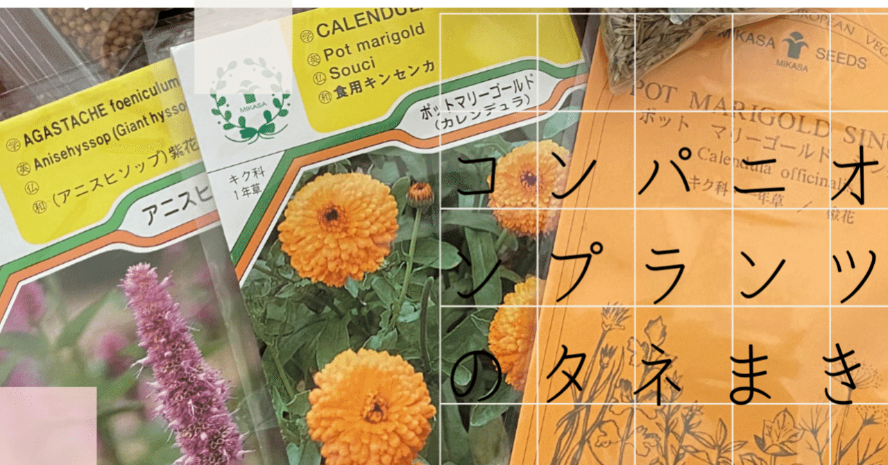 Vol 86 コンパニオンプランツには色々ある 野菜の成長を助ける植物のタネまき ころのにわ 自然菜園 Note