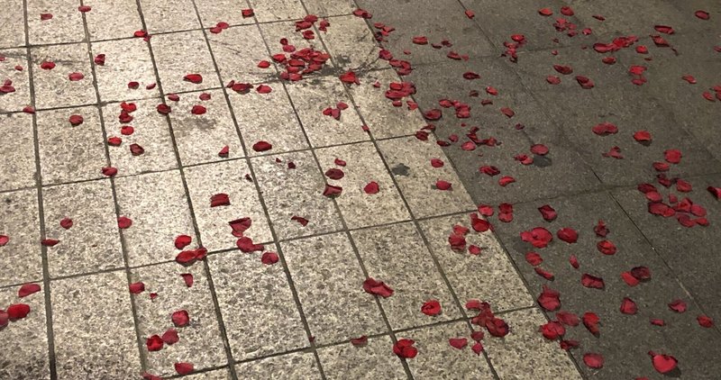 虚弱体質 の新着タグ記事一覧 Note つくる つながる とどける