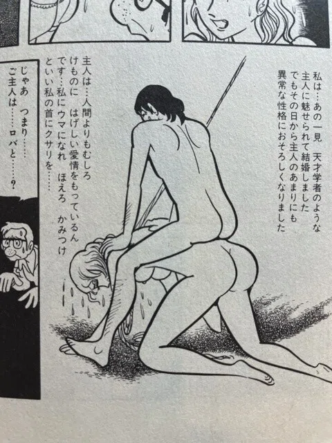 画像7