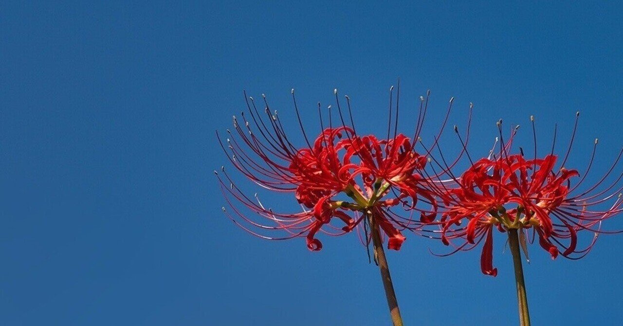 熱く 毒のある 芥川賞受賞作 彼岸花が咲く島 を読んで フジカワ モノカキキドリ Note